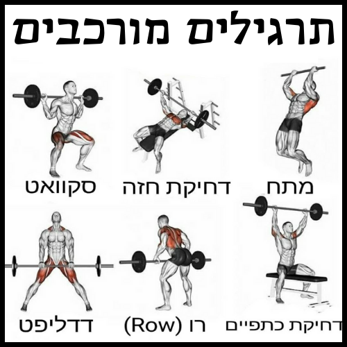 תרגילים מורבים