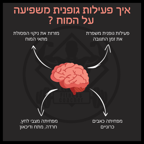 איך פעילות גופנית משפיעה על המוח