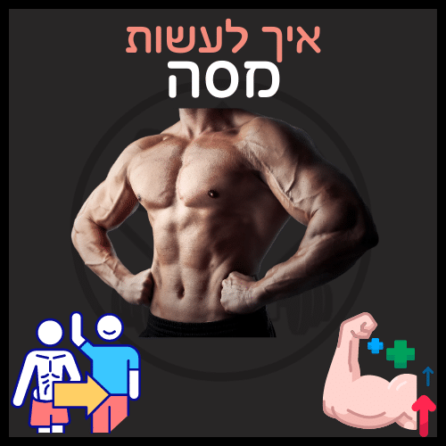 איך לעשות מסה | איך לעלות במסת השריר