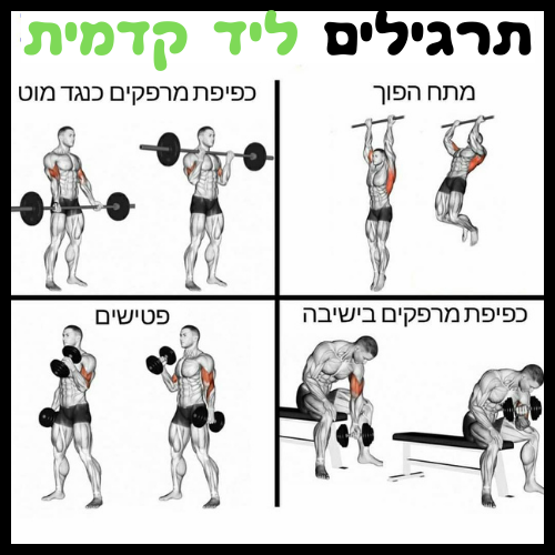 תרגילים ליד קדמית