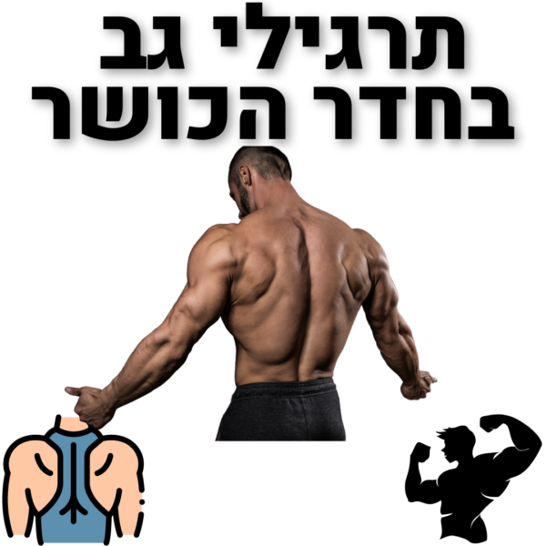 תרגילים לגב בחדר הכושר