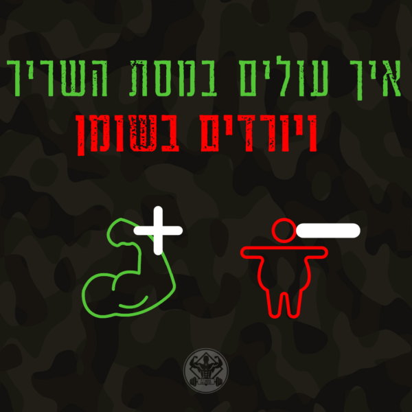 איך להעלות מסת שריר ולהתחטב בו זמנית