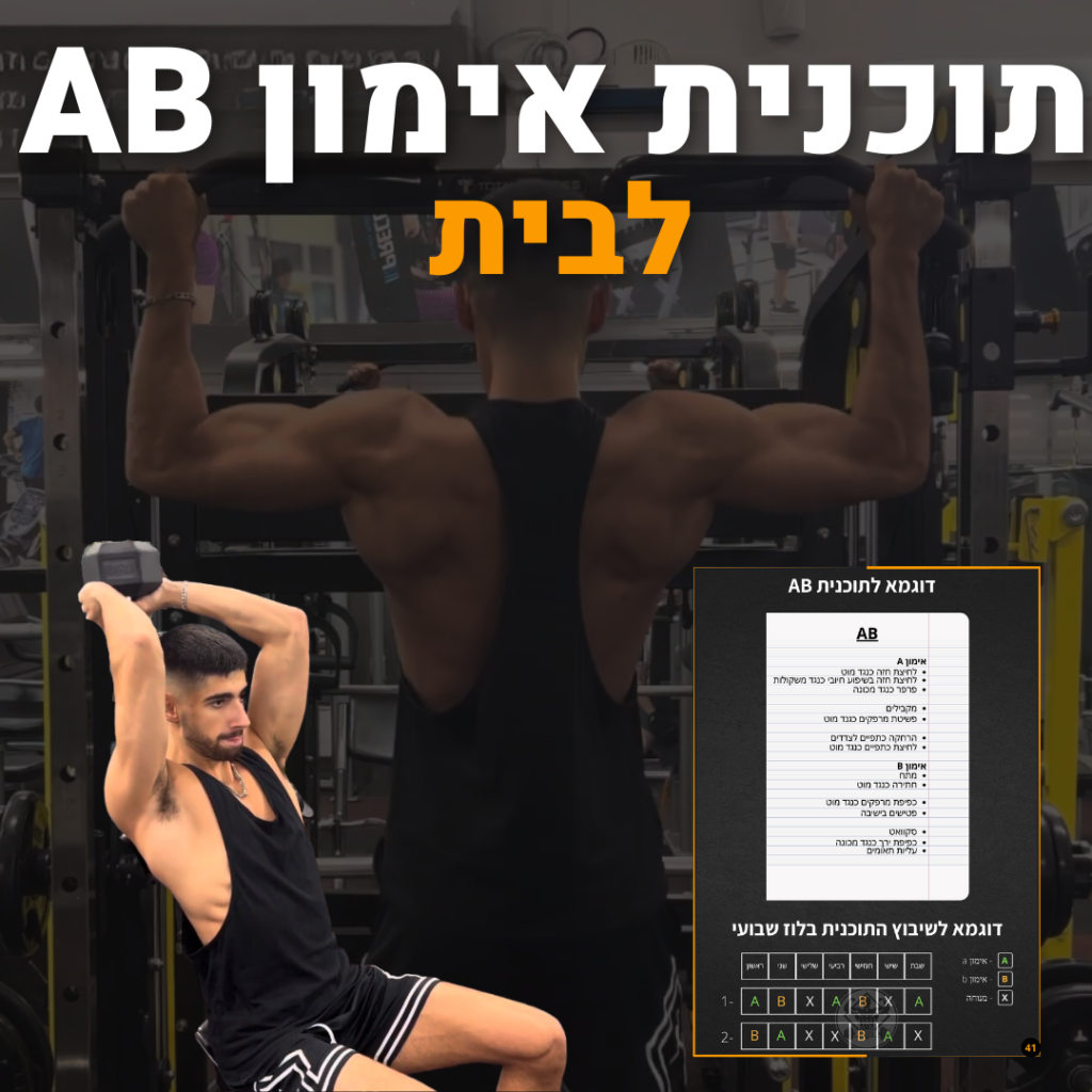 תוכנית אימון AB לבית עם / וללא ציוד לתוצאות מקסימליות