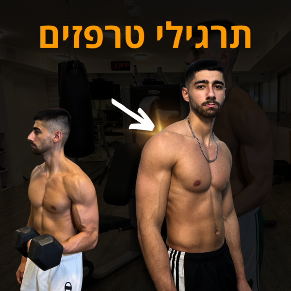 5 תרגילים לטרפזים גדולים וענקיים בחדר הכושר - אסף סבג