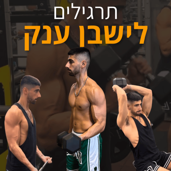 תרגילים לישבן ענק