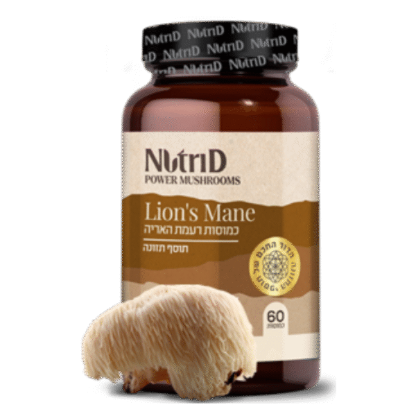פטריית רעמת האריה | הריסיום | nutri D - נוטרי די
